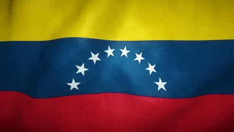 Flag of venezuela waving in the wind Stock-Footage 125831591