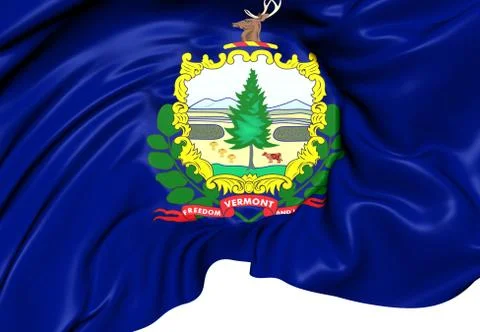 Flag of vermont Stock Illustration