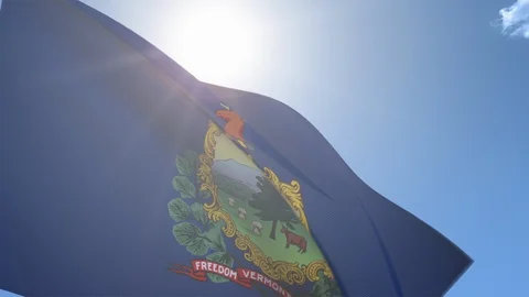 Flag of Vermont Waving in the Wind Stock Footage 118421465