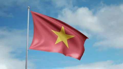 Flag of Vietnam 스톡 동영상 444459