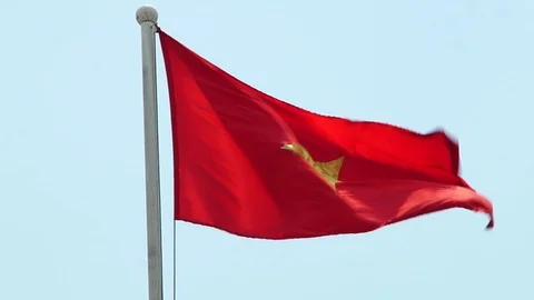 Flag of Vietnam 스톡 동영상 113996714