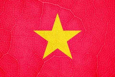 Flag of Vietnam on the structure of a tree leaf macro Photos