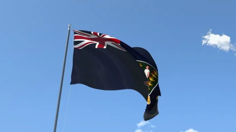 The flag of Virgin Islands Waving on the Wind. Stock Footage 40522365