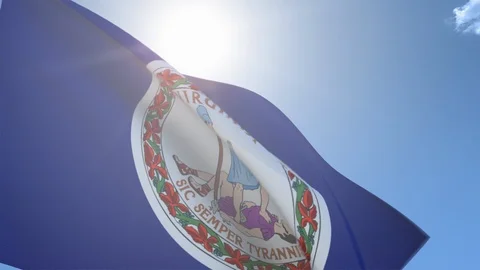 Flag of Virginia Waving in the Wind Stock Footage 118421294
