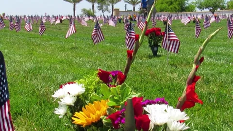 Flag walk  at cemetery Video stock 154918360