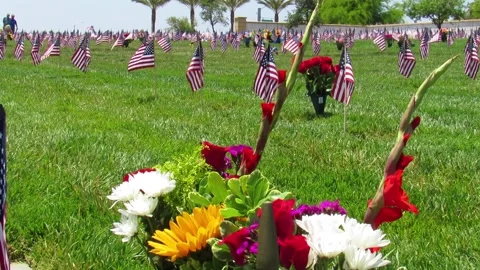 Flag walk Video stock 154918384