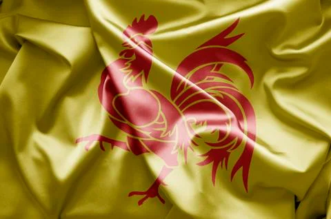 Flag of wallonia Stock Illustration
