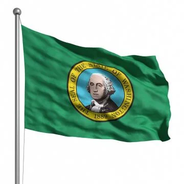 Flag of washington Illustrazione stock