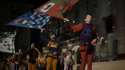 Flag wavers Stock Footage 89996134