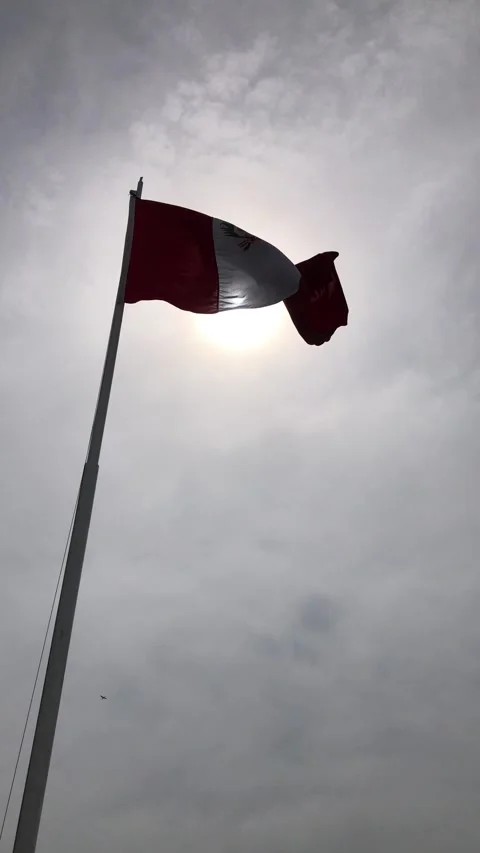 Flag waves proudly. Sunlit Peruvian flag over port. Silhouetted flag adorns Video stock 337791229