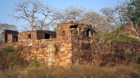 A flag waves in the wind atop Ranthambore Fort in Ranthambore, India. Stock Footage 37519825