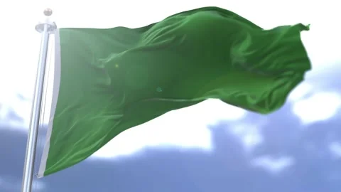 Flag waving against the sky Vídeo Stock 170662453