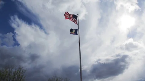Flag Waving on Cloudy Day Video stock 89110724