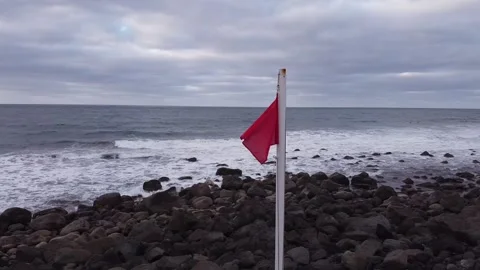Flag waving in motion Stock Footage 145491570