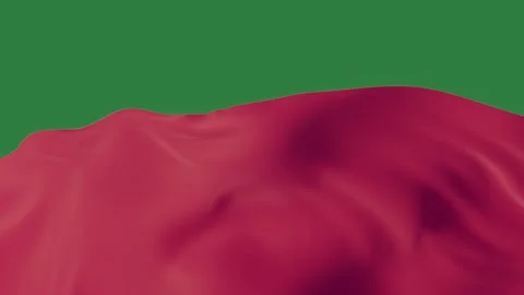Flag Waving Motion Graphic Overlay Stock Footage 338016416