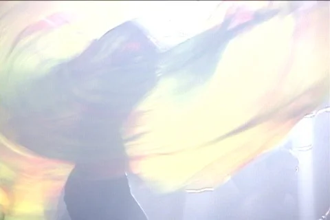 Flag Waving Person Stock Footage 290320