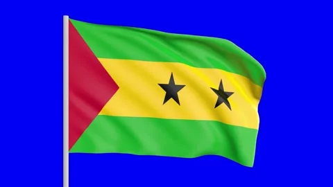 Flag waving on pole Stock Footage 314908288