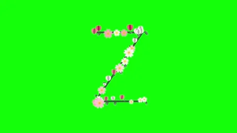 Flag Waving with Slow - Chroma Key Green Screen Footage Stock Footage 337996505