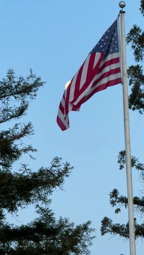 Flag Waving in Spring Breezes Among Trees Stock Footage 314528732
