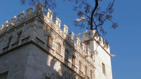 Flag waving on the tower of the Lonja de la Seda, Valencia, Spain Stock Footage 102791368
