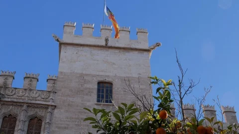Flag waving on the tower of the Lonja de la Seda, Valencia, Spain Stock Footage 102817212