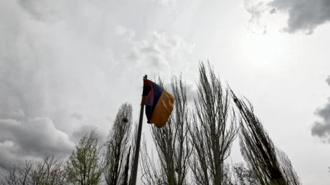 Flag waving in the wind under cloudy sky near trees during late afternoon in an Stock Footage 333887323