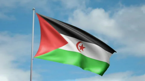 Flag of Western Sahara Video stock 450225