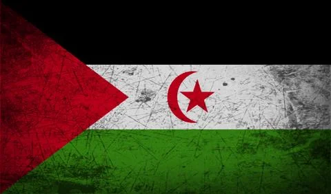 Flag of Western Sahara with old texture. Vector 스톡 일러스트