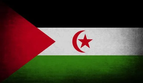 Flag of Western Sahara with old texture. Vector Stock Illustration