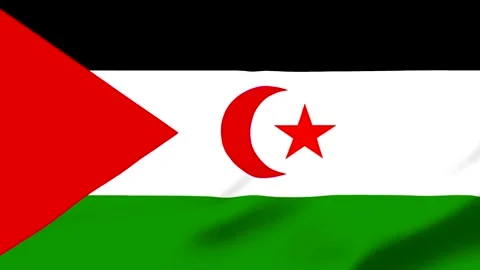 Flag of Western Sahara with red star and crescent on white background Stock-Footage 343573813