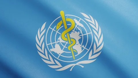 Flag of WHO with Realistic Fabric Texture Waving in the Wind. WHO Flag Video stock 129170106