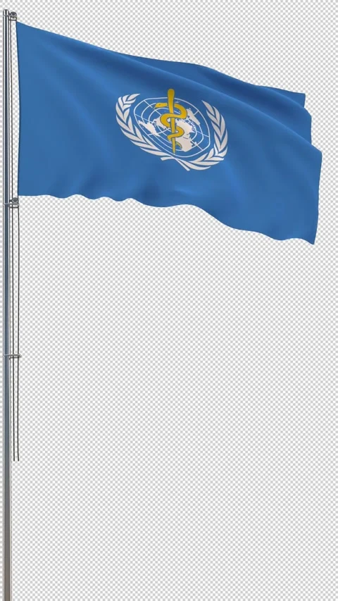 Flag of WHO on transparent, 3d rendering, footage with alpha, vertical video Stock Footage 136587930