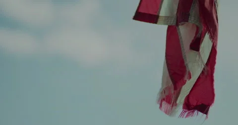 Flag in Wind - Clip 002 Stock Footage 163863506