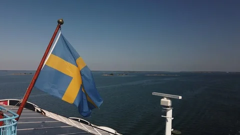 Flag in the wind. Stock Footage 113747839