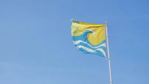 Flag in the wind Video stock 146933990