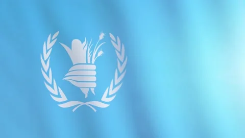The flag of World Food Programme flutters in the wind. International flag of WFP Stock Footage 146440099