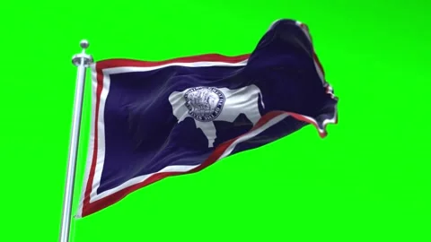 Flag of Wyoming US State waving flag animation isolated on a green background Stock Footage 296869501