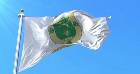 Flag of Yucatan, Mexico. Loop Stock Footage 167115216