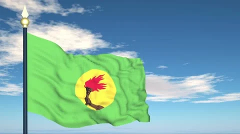 Flag Of Zaire Stock Footage 10732439