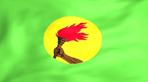 Flag Of Zaire Stock Footage 11399626