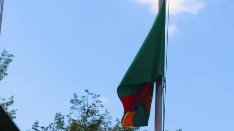 Flag of Zambia Stock Footage 129291131