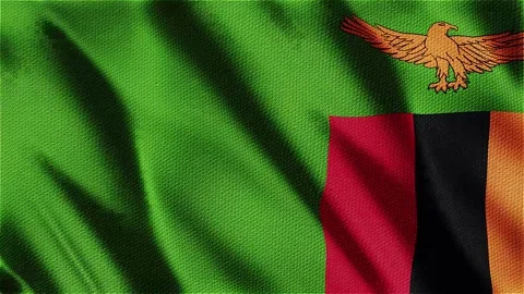 Flag of Zambia Stock Footage 343556361