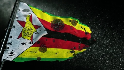 The flag of Zimbabwe is torn and marked with the virus of covid-19 . 스톡 동영상 127201722