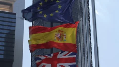 Flag2 動画素材 8968988