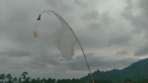 Flag2 Stock Footage 258114332