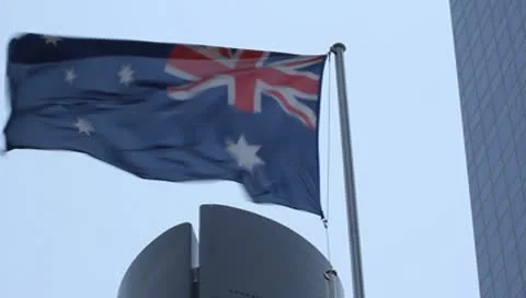 Flag3 動画素材 8969038