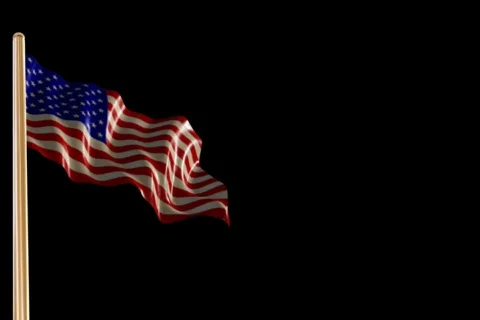 FlagLeft10 Stock Footage 446028