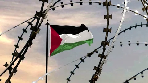 Flagpole with the flag of Palestine behind barbed wire against the sky. Concept: Stock Footage 255502819