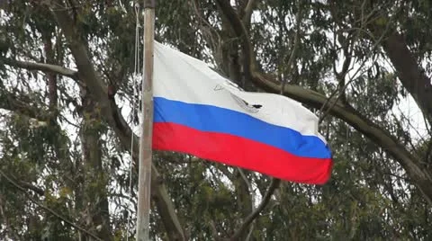 Flagpole Stock Footage 11142575