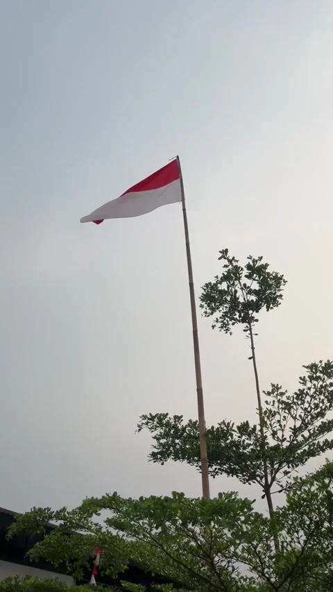 Flagpole Red White Flag in Open Sky with Trees Видео 344608059